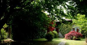 B&B LAlbero Maestro