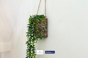 The Jungle Comfy & Spacious 3BR by AltoLuxo Short Lets & Serviced Accommodation With Free WiFi & Parking