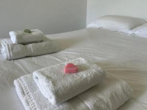 Gite les grandes vignes