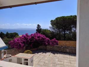 Residenza le bouganville img17