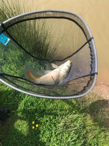 Etna Laurels at the peaceful Cherry Lea Holiday Park and Fishing Lake