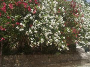 Agriturismo "Donna Cettina" - Due Fiumare Est