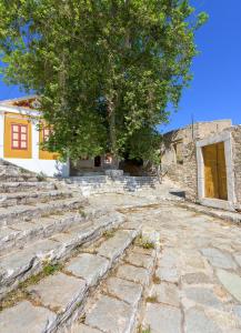 Platanos Cottage Symi Greece