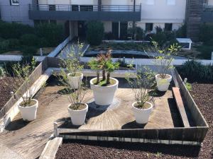 Appartements Appartement T2 46 m2 O-Lac proche du lac 1 chambre parking terrasse : photos des chambres