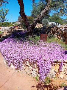 Casa La Manna by A&B Homes Leuca