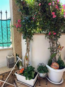 Le Petite Suite img36