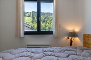 Appartements Aux pieds des pistes - Appt A : photos des chambres