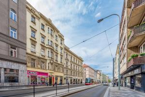 Baroque Grand Apartment XXL - City Center - 160 m2