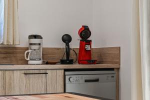 Appartements Aux pieds des pistes - Appt B : photos des chambres