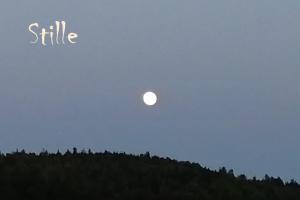 Mental fit, Schwarzwald