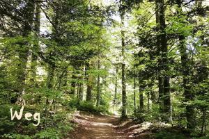 Mental fit, Schwarzwald