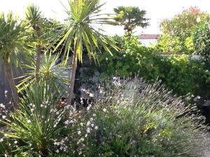 Maisons de vacances Family Fun, Beach, Biking and Relaxation : photos des chambres