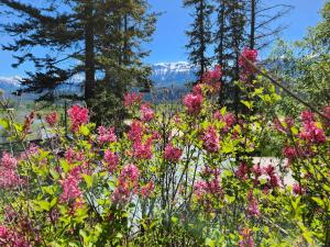 Alpenrose 204 Hottubs, Mountains View, KING bed