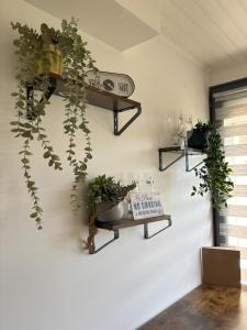 Maisons de vacances Petit Nid Douillet avec parking prive : photos des chambres