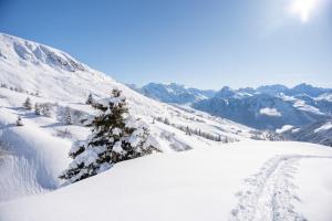 Appartements l-Ourson appartement central champagny la plagne : photos des chambres