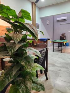 Sun Star Home by Ipoh Maju Stay