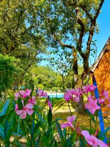 B&B / Chambres d'hotes Le Domaine de la Claire Fontaine Gites -chambres d'hotes : photos des chambres