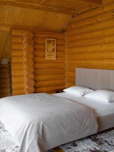 Сонячний Лаз