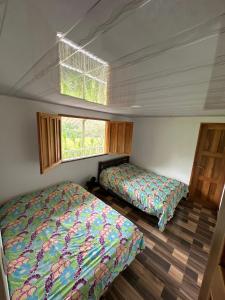 Paisaje Andino Salento