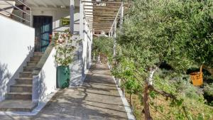 Kypri Apartments Andros Greece