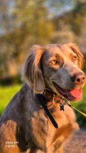 Bungalow Souterrain, eigener Eingang