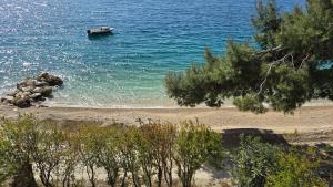 Beach House 5 stairs