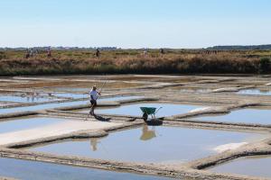 Maisonnette entre terre et mer