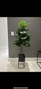 Stylish and Upscale 2 Bed Apt