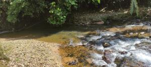 Quinta Vacacional Oasis en Pedro Vicente Maldonado-Pichincha Ecuador