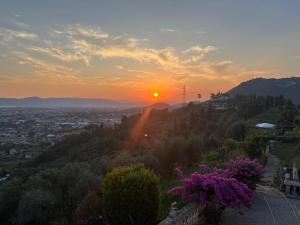 Forma Alta 59 Vineyard Reserve