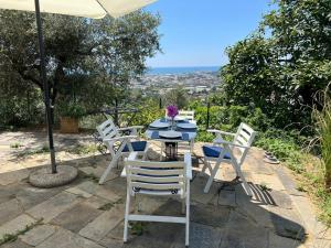 Forma Alta 59 Vineyard Reserve