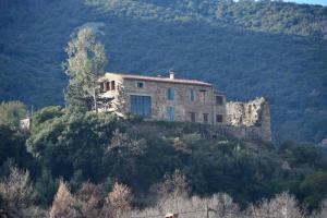 Appartements Le Studio la Petite Colline a Ceret : photos des chambres
