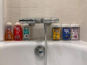 Quai du Rhone Two bedroom appartement