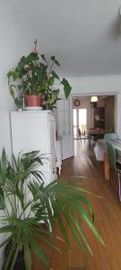 Villas Belle maison, beau quartier, piscine, proche centre, 5 chambres : photos des chambres