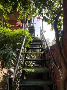 woodsy treehouse stay