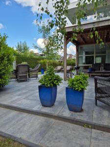 Gastehuisie Goedemoed