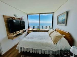 Hermoso departamento con la mejor vista de Viña del Mar
