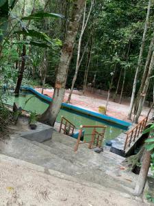 Sítio Rota Turistica COP30