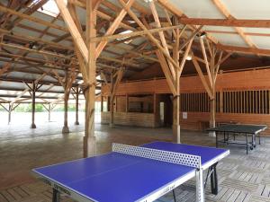 Campings Domaine de l'Oiseliere : photos des chambres