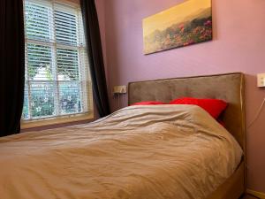 Voorstraat 30 Studio