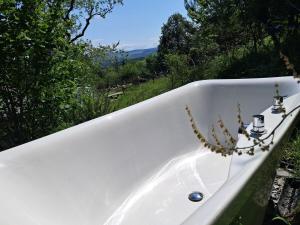 Hilltop Train Carriage with a View