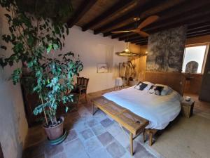 Relax en casona única Lanueva Candeleda patio compartido