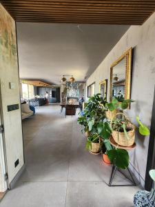 Villas Charming villa in the heart of the Mediterranean Garrigue : photos des chambres