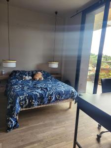 Villas Charming villa in the heart of the Mediterranean Garrigue : photos des chambres