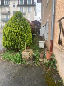 Appartements les Lucioles : photos des chambres