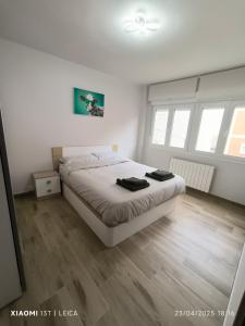 Apartamentos Francisco Palazuelos