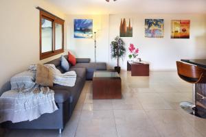 Olive Tree Apartments