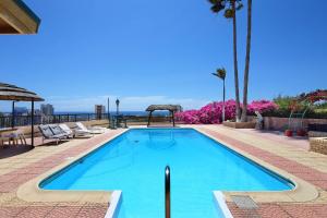 Olive Tree Apartments