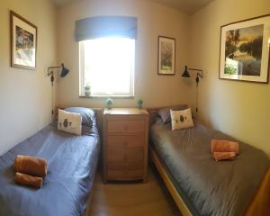 Oberon Woods Beddgellert Snowdonia