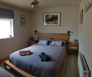 Oberon Woods Beddgellert Snowdonia